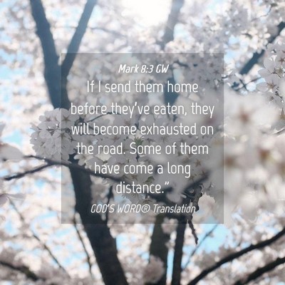 Picture 04 - Mark 8:3 GW - If I send them home before they’ve eaten, they - Bible Verse Picture