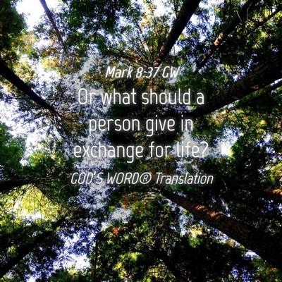 Picture 04 - Mark 8:37 GW - Or what should a person give in exchange for - Bible Verse Picture