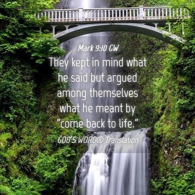 Picture 04 - Mark 9:10 GW - They kept in mind what he said but argued among - Bible Verse Picture