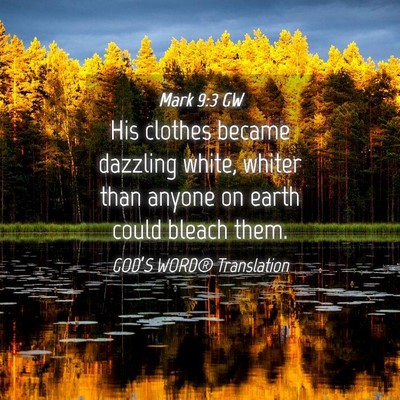 Picture 04 - Mark 9:3 GW - His clothes became dazzling white, whiter than - Bible Verse Picture