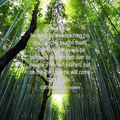 Picture 04 - Mark 9:31 GW - because he was teaching his disciples. He taught - Bible Verse Picture