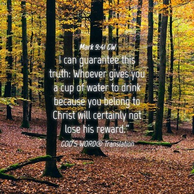 Picture 04 - Mark 9:41 GW - I can guarantee this truth: Whoever gives you a - Bible Verse Picture