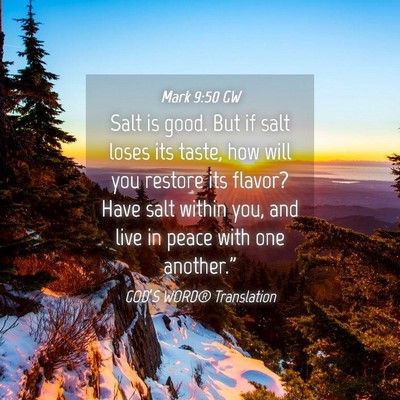 Picture 04 - Mark 9:50 GW - Salt is good. But if salt loses its taste, how - Bible Verse Picture