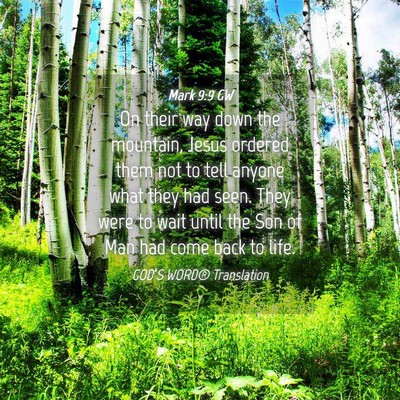 Picture 04 - Mark 9:9 GW - On their way down the mountain, Jesus ordered - Bible Verse Picture