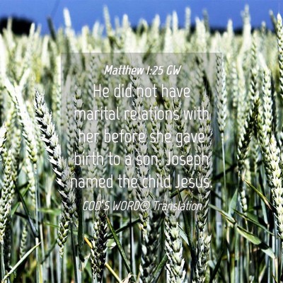 Picture 04 - Matthew 1:25 GW - He did not have marital relations with her before - Bible Verse Picture