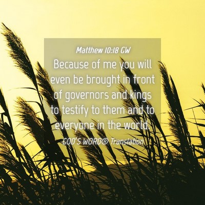 Picture 04 - Matthew 10:18 GW - Because of me you will even be brought in front - Bible Verse Picture