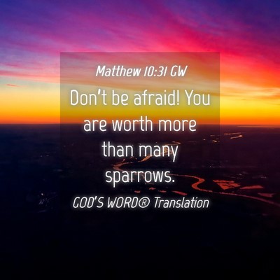 Picture 04 - Matthew 10:31 GW - Don’t be afraid! You are worth more than many - Bible Verse Picture