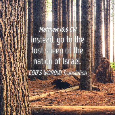 Picture 04 - Matthew 10:6 GW - Instead, go to the lost sheep of the nation of - Bible Verse Picture