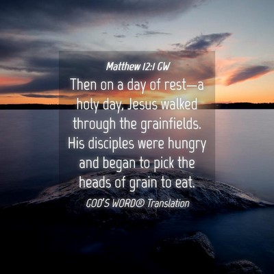 Picture 04 - Matthew 12:1 GW - Then on a day of rest—a holy day, Jesus walked - Bible Verse Picture