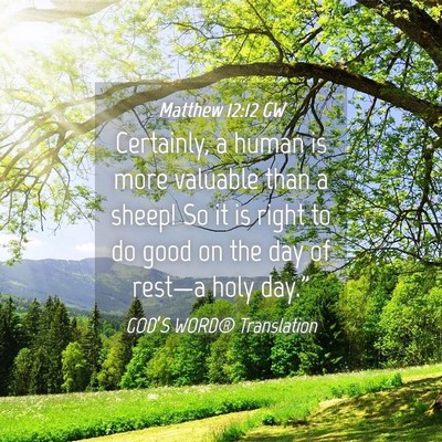 Picture 04 - Matthew 12:12 GW - Certainly, a human is more valuable than a sheep! - Bible Verse Picture