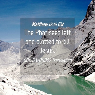 Picture 04 - Matthew 12:14 GW - The Pharisees left and plotted to kill - Bible Verse Picture