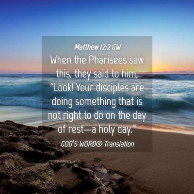 Picture 04 - Matthew 12:2 GW - When the Pharisees saw this, they said to him, - Bible Verse Picture