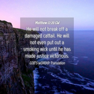 Picture 04 - Matthew 12:20 GW - He will not break off a damaged cattail. He will - Bible Verse Picture
