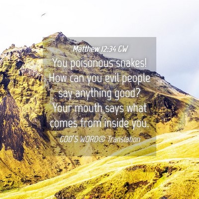 Picture 04 - Matthew 12:34 GW - You poisonous snakes! How can you evil people say - Bible Verse Picture