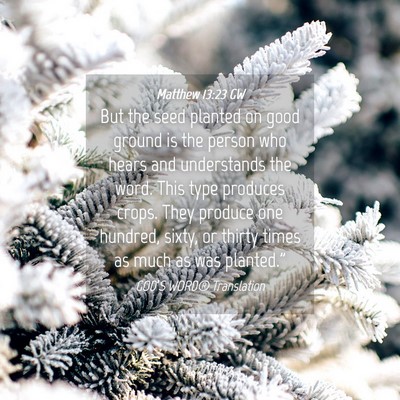 Picture 04 - Matthew 13:23 GW - But the seed planted on good ground is the person - Bible Verse Picture
