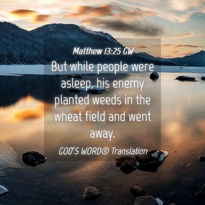 Picture 04 - Matthew 13:25 GW - But while people were asleep, his enemy planted - Bible Verse Picture