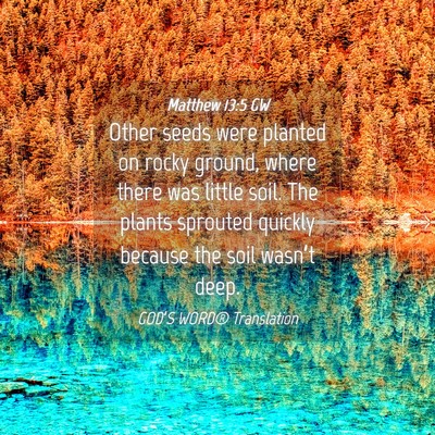 Picture 04 - Matthew 13:5 GW - Other seeds were planted on rocky ground, where - Bible Verse Picture