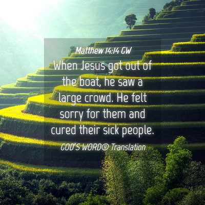 Picture 04 - Matthew 14:14 GW - When Jesus got out of the boat, he saw a large - Bible Verse Picture
