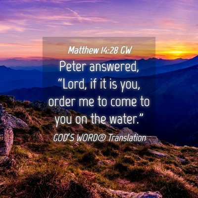 Picture 04 - Matthew 14:28 GW - Peter answered, “Lord, if it is you, order me - Bible Verse Picture