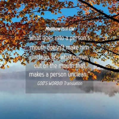 Picture 04 - Matthew 15:11 GW - What goes into a person’s mouth doesn’t make - Bible Verse Picture