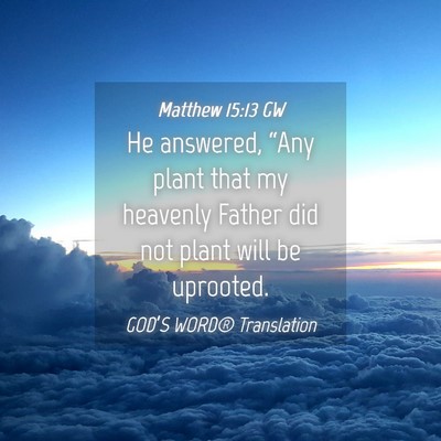 Picture 04 - Matthew 15:13 GW - He answered, “Any plant that my heavenly Father - Bible Verse Picture