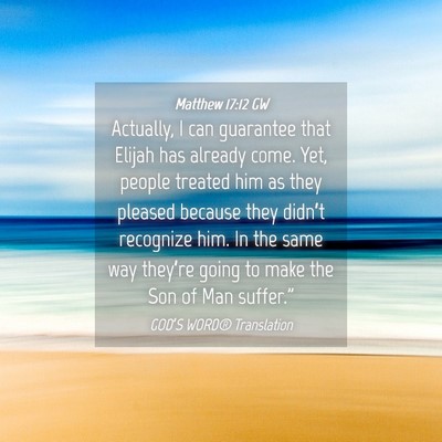Picture 04 - Matthew 17:12 GW - Actually, I can guarantee that Elijah has already - Bible Verse Picture