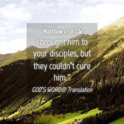 Picture 04 - Matthew 17:16 GW - I brought him to your disciples, but they - Bible Verse Picture
