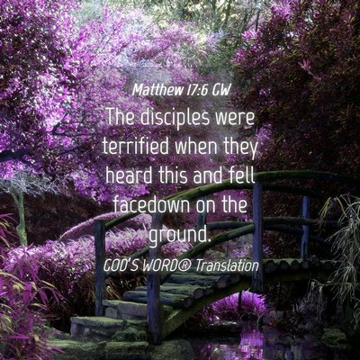 Picture 04 - Matthew 17:6 GW - The disciples were terrified when they heard this - Bible Verse Picture