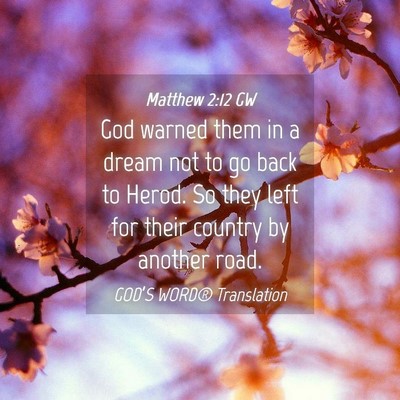 Picture 04 - Matthew 2:12 GW - God warned them in a dream not to go back to - Bible Verse Picture