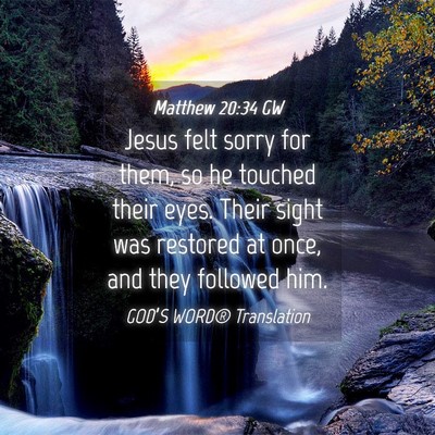 Picture 04 - Matthew 20:34 GW - Jesus felt sorry for them, so he touched their - Bible Verse Picture