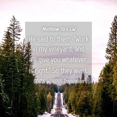 Picture 04 - Matthew 20:4 GW - He said to them, ‘Work in my vineyard, and - Bible Verse Picture