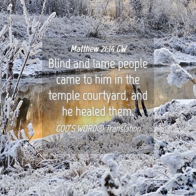 Picture 04 - Matthew 21:14 GW - Blind and lame people came to him in the temple - Bible Verse Picture