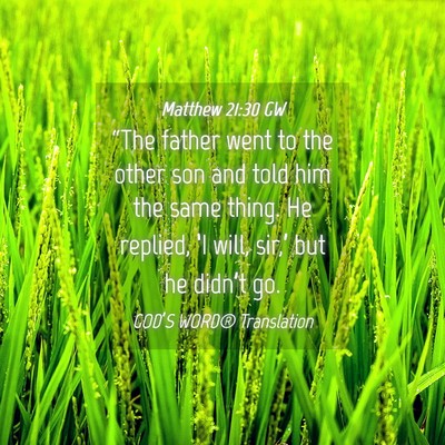 Picture 04 - Matthew 21:30 GW - “The father went to the other son and told him - Bible Verse Picture