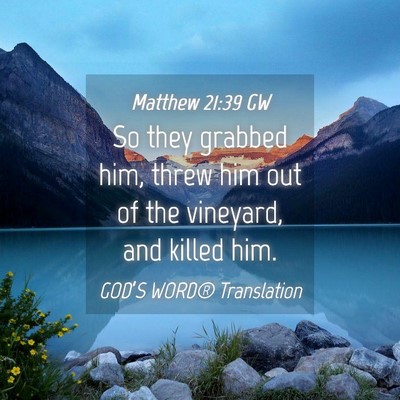 Picture 04 - Matthew 21:39 GW - So they grabbed him, threw him out of the - Bible Verse Picture