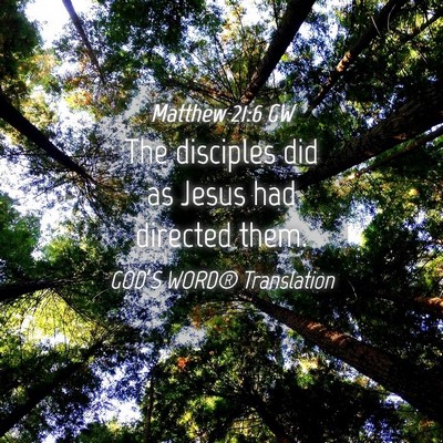 Picture 04 - Matthew 21:6 GW - The disciples did as Jesus had directed - Bible Verse Picture