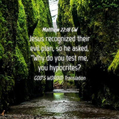 Picture 04 - Matthew 22:18 GW - Jesus recognized their evil plan, so he asked, - Bible Verse Picture