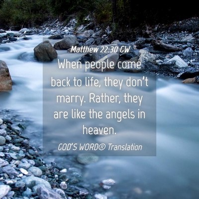 Picture 04 - Matthew 22:30 GW - When people come back to life, they don’t - Bible Verse Picture