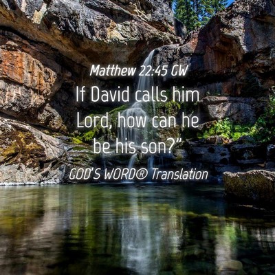 Picture 04 - Matthew 22:45 GW - If David calls him Lord, how can he be his - Bible Verse Picture