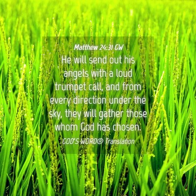 Picture 04 - Matthew 24:31 GW - He will send out his angels with a loud trumpet - Bible Verse Picture