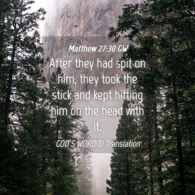 Picture 04 - Matthew 27:30 GW - After they had spit on him, they took the stick - Bible Verse Picture