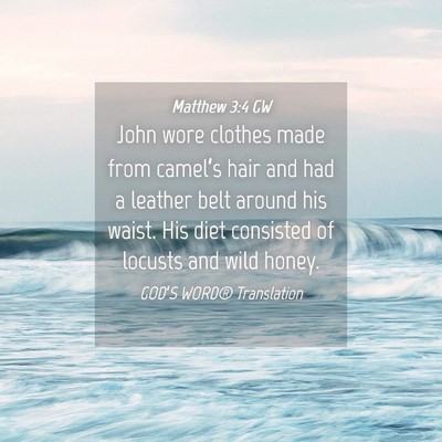 Picture 04 - Matthew 3:4 GW - John wore clothes made from camel’s hair and - Bible Verse Picture