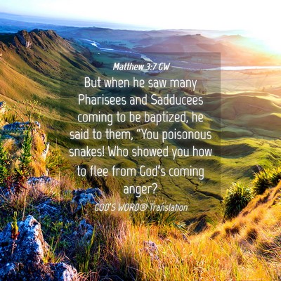 Picture 04 - Matthew 3:7 GW - But when he saw many Pharisees and Sadducees - Bible Verse Picture