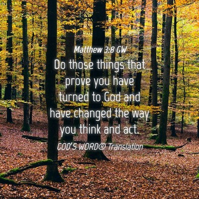 Picture 04 - Matthew 3:8 GW - Do those things that prove you have turned to God - Bible Verse Picture