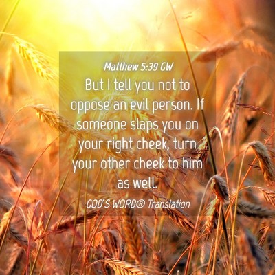 Picture 04 - Matthew 5:39 GW - But I tell you not to oppose an evil person. If - Bible Verse Picture