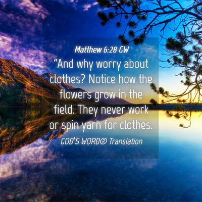 Picture 04 - Matthew 6:28 GW - “And why worry about clothes? Notice how the - Bible Verse Picture