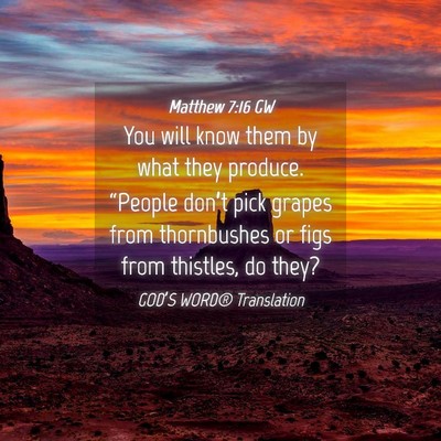 Picture 04 - Matthew 7:16 GW - You will know them by what they produce. - Bible Verse Picture
