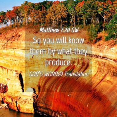 Picture 04 - Matthew 7:20 GW - So you will know them by what they - Bible Verse Picture