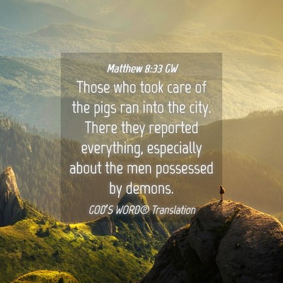 Picture 04 - Matthew 8:33 GW - Those who took care of the pigs ran into the - Bible Verse Picture