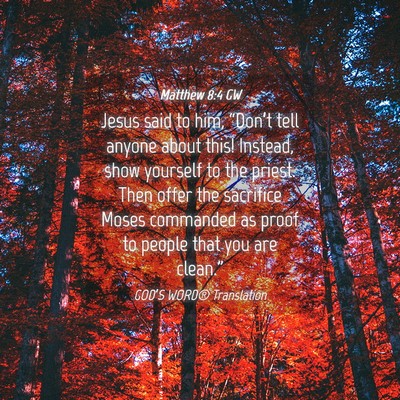 Picture 04 - Matthew 8:4 GW - Jesus said to him, “Don’t tell anyone about - Bible Verse Picture