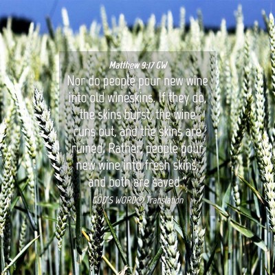 Picture 04 - Matthew 9:17 GW - Nor do people pour new wine into old wineskins. - Bible Verse Picture